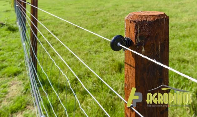 Cercas eléctricas para ganado