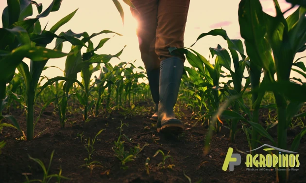 Productividad agrícola
