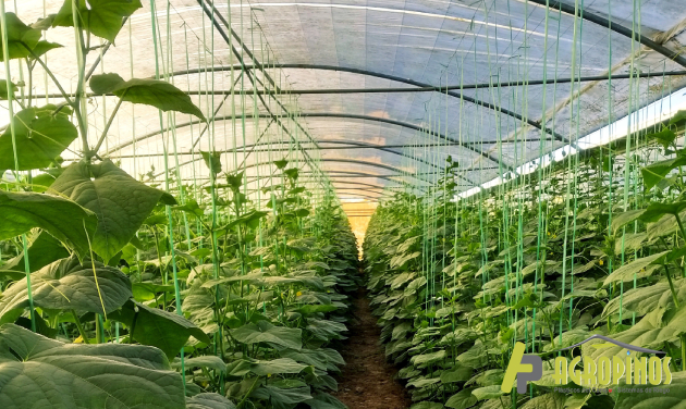 El plástico agrícola