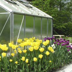 Consejos de jardinería para cuidar sus plantas