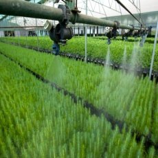 Vive la Agroferia en Bucaramanga con los expertos del sector