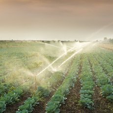 Sistemas de riego para agricultores en la sabana de Bogotá