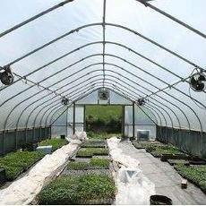 Sistemas de ventilación para invernaderos
